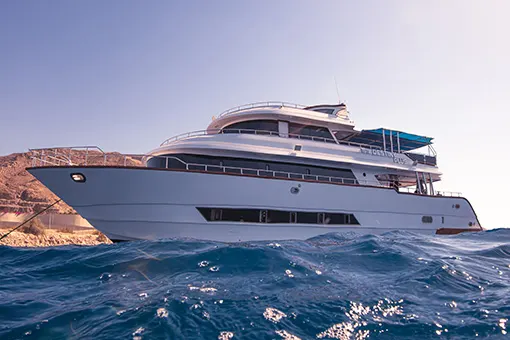 destiny plus aqaba ayla boat