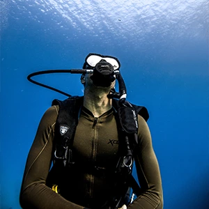divers in aqaba