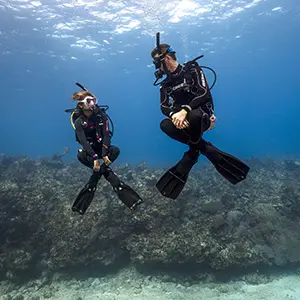 open water diver in aqaba