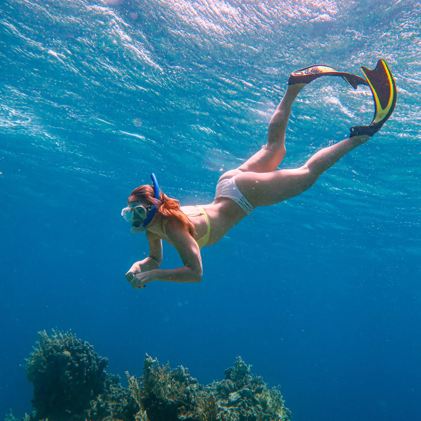 snorkelling snorkelling