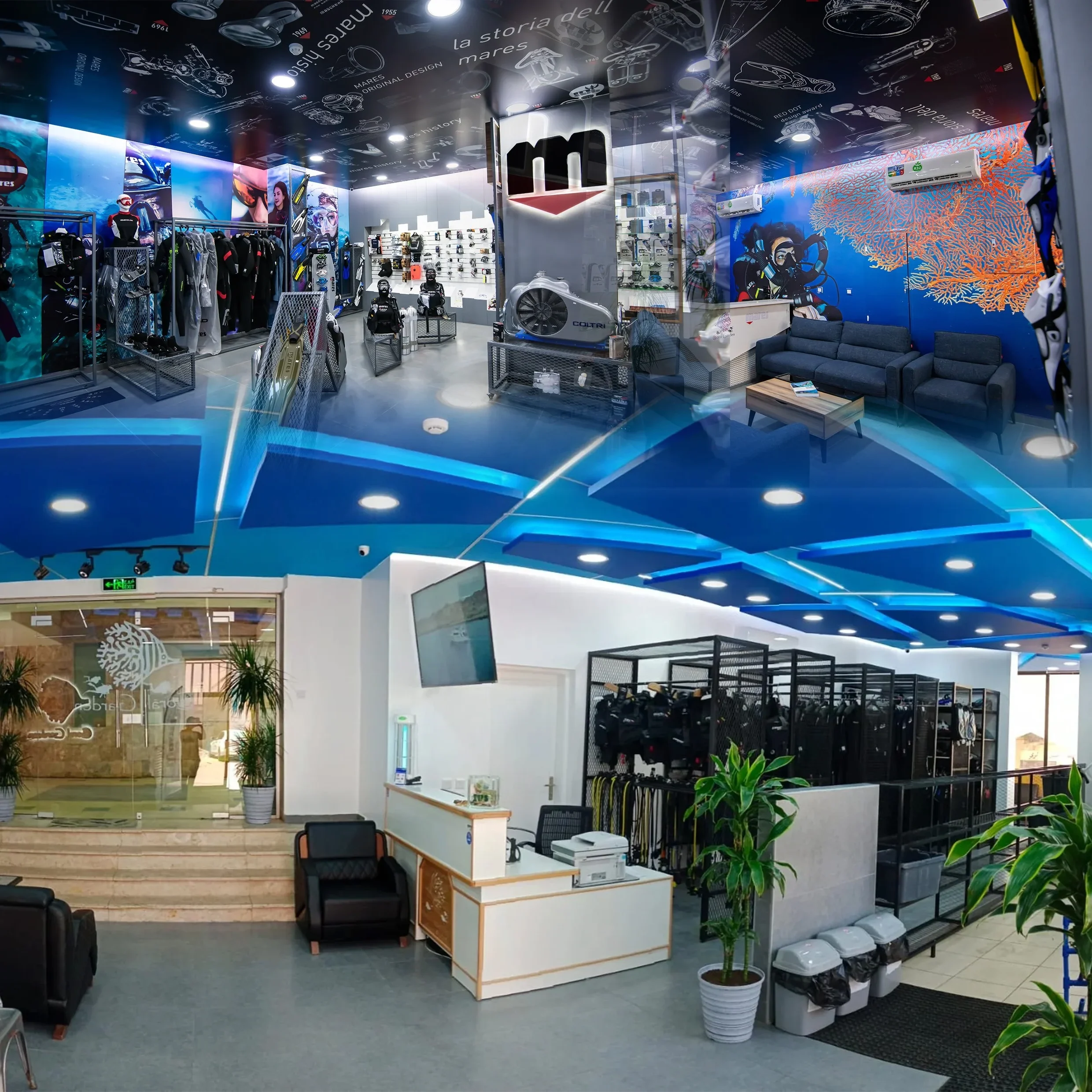 aqaba dive center