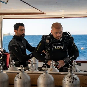 assist instructore course in aqaba assist instructore course in aqaba