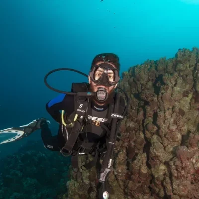 diver-and-brain-coral coral reef site