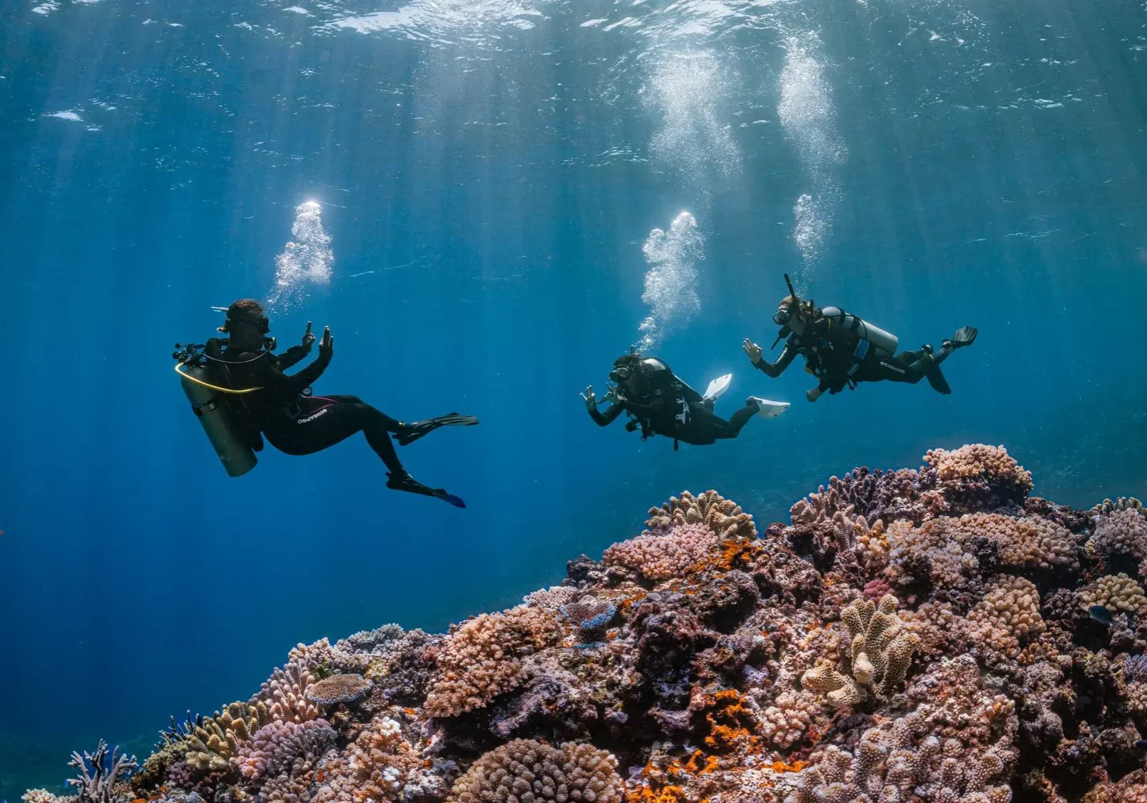 padi courses in aqaba (1)