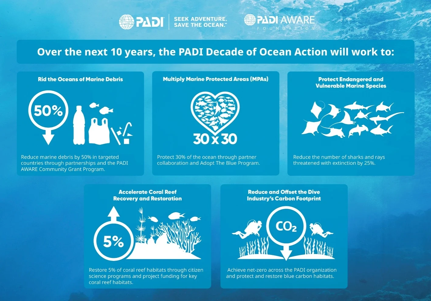 padi-decade-of-ocean-action