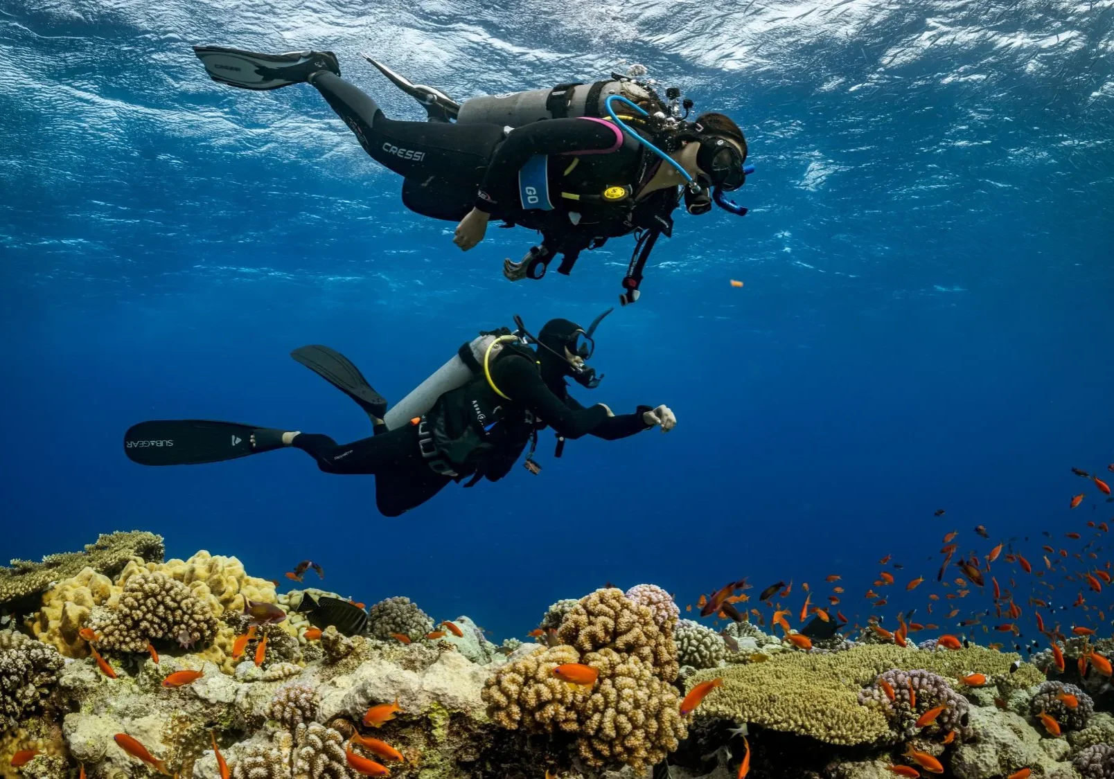 reef dive in aqaba