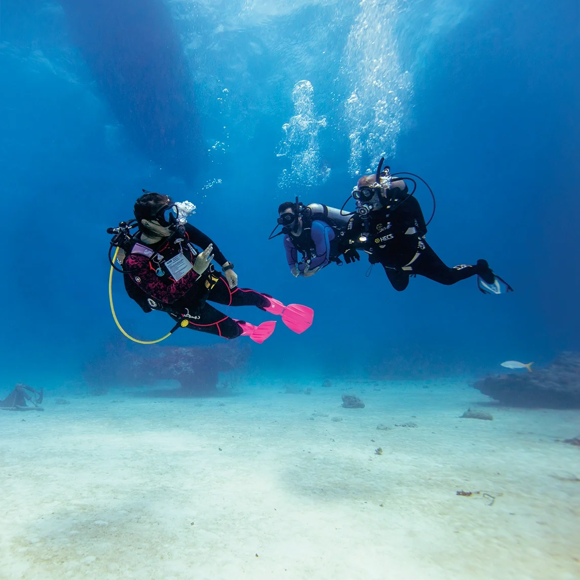 PADI Enriched Air Diver Nitrox course in Aqaba - two divers underwater