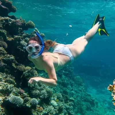 Snorkelling-in-reef Snorkelling-in-reef