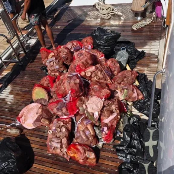 waste after clean up dive